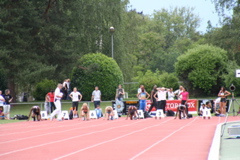 IMG_0082.JPG